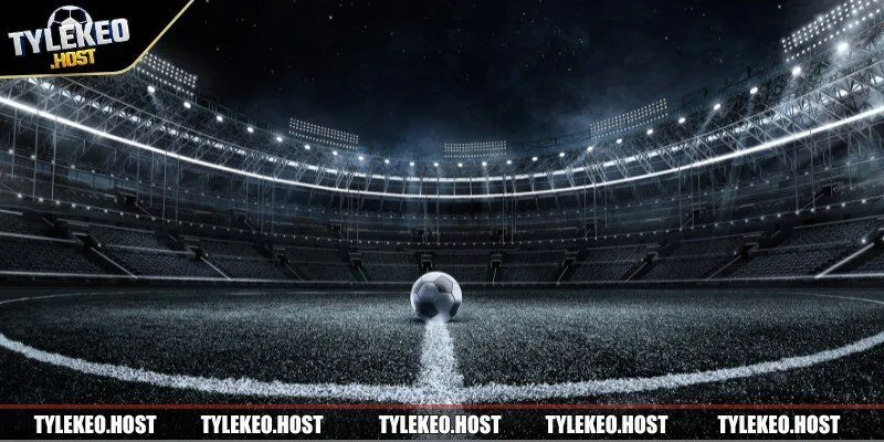 Áp dụng chiến thuật giúp bạn cá cược chính xác