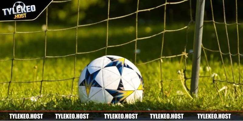 Cập nhật thông tin mới nhất để cá cược thắng lớn