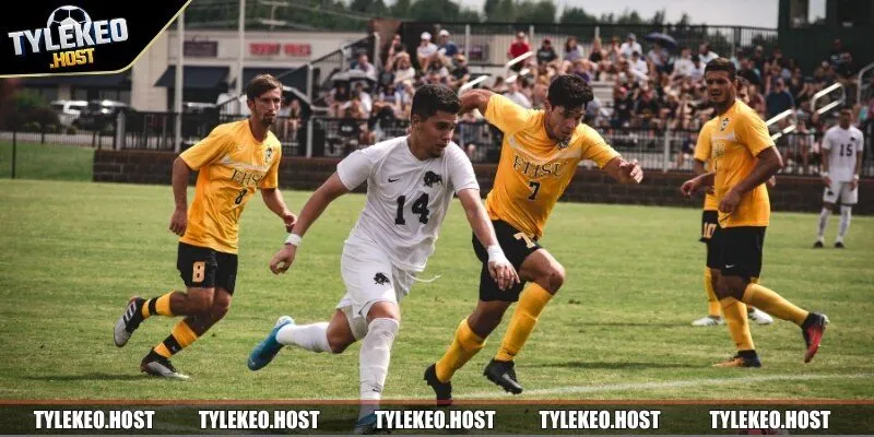 Những phương pháp đặt cược tốt nhất