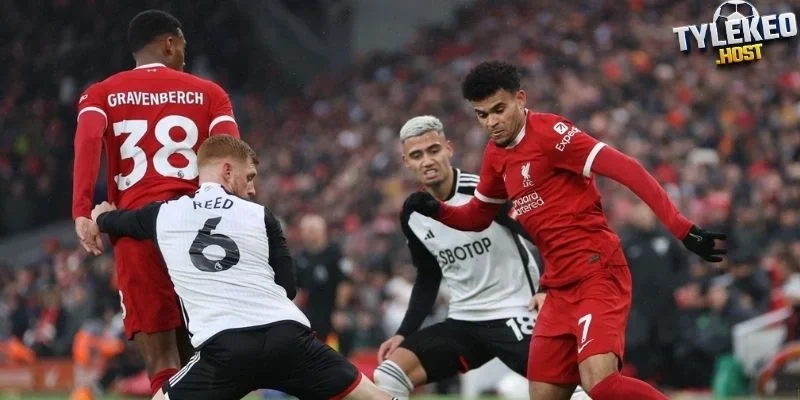 Cập nhật nhanh phong độ Liverpool vs Fulham